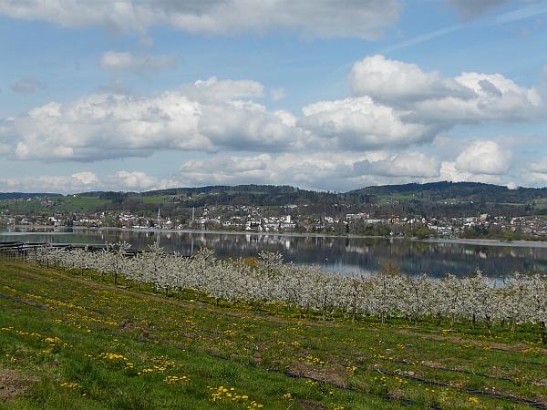 motorboot pfäffikersee